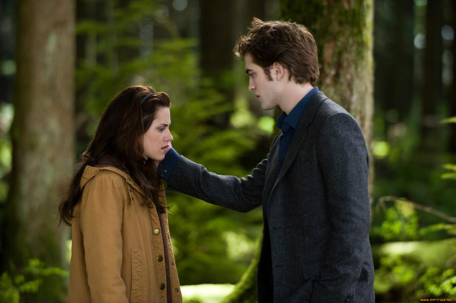 , , the, twilight, saga